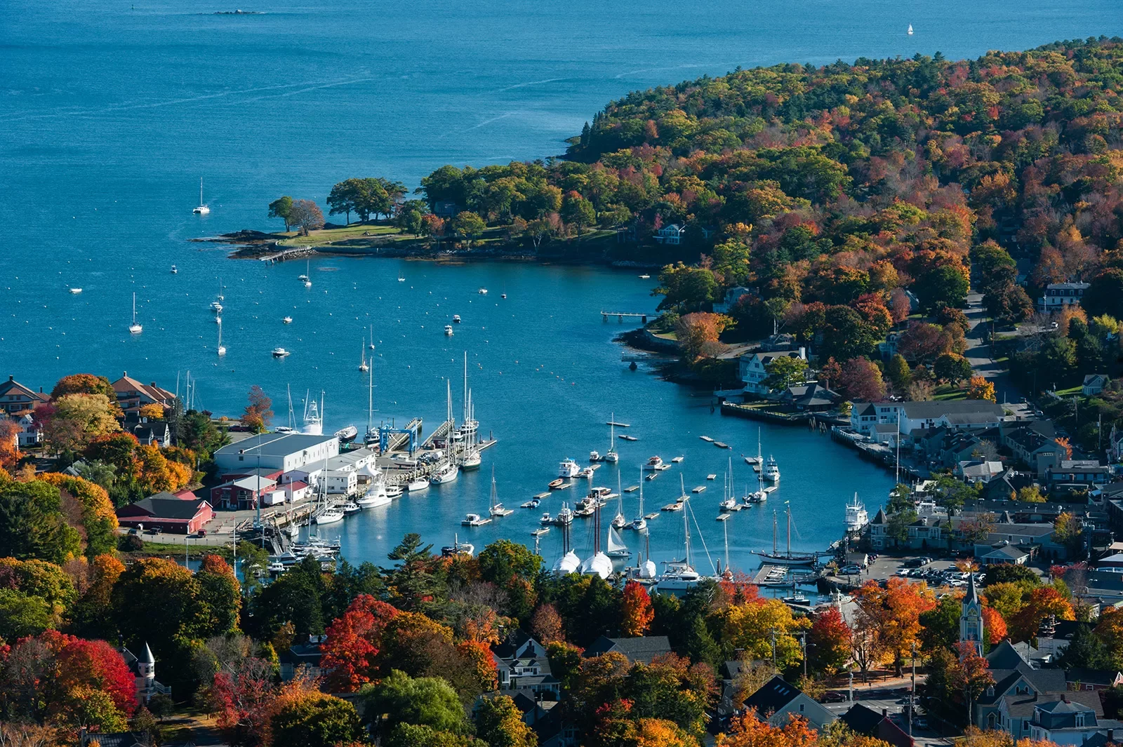 Wide shot of port and numerous small boats around autumnal forest.