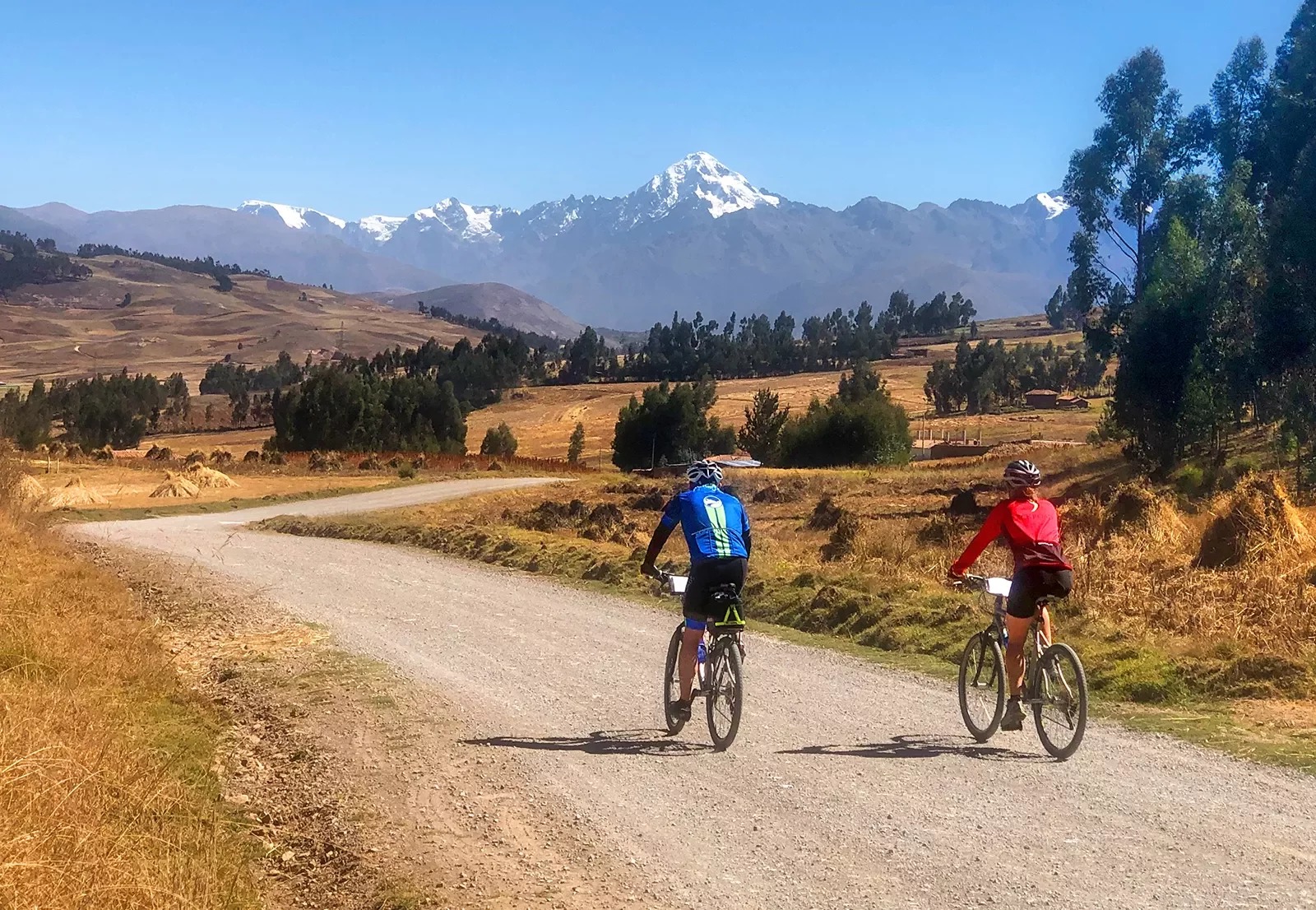 Two guests cycling down gravel road, golden grasses, trees, mountains in distance.