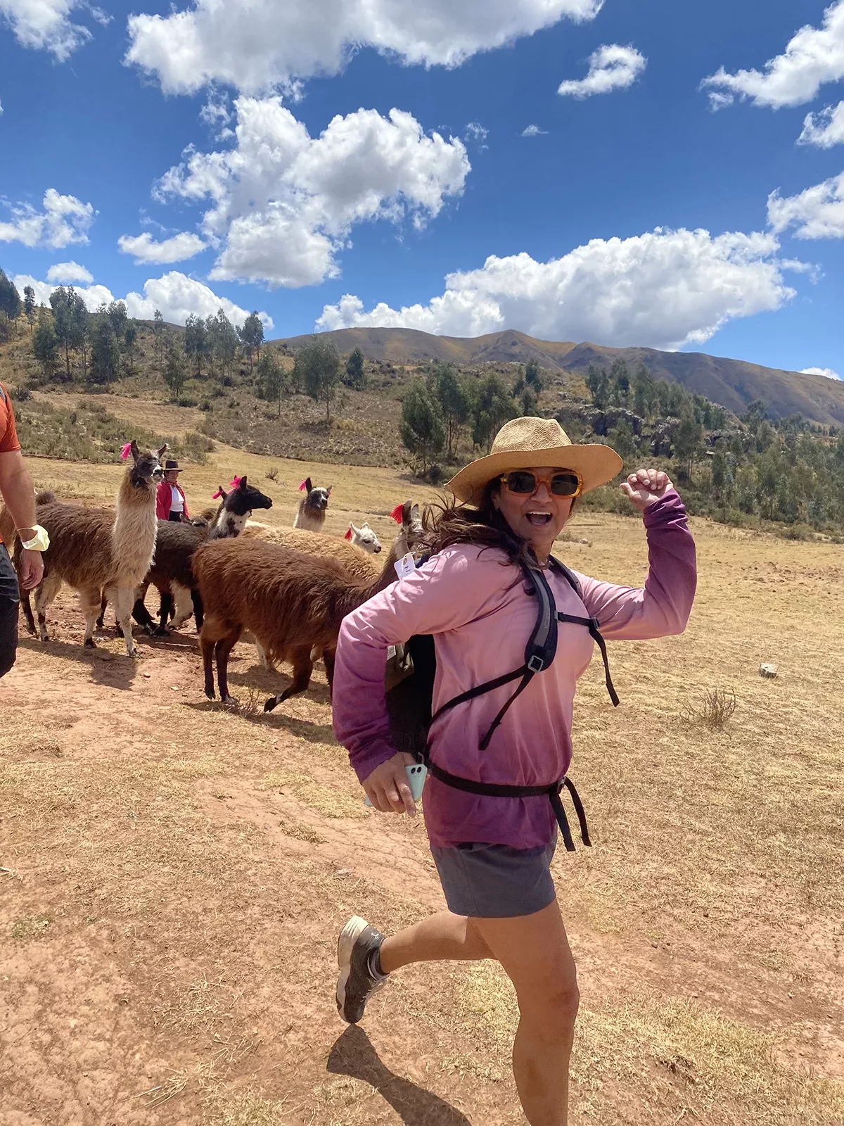 Guest running with alpaca herd.