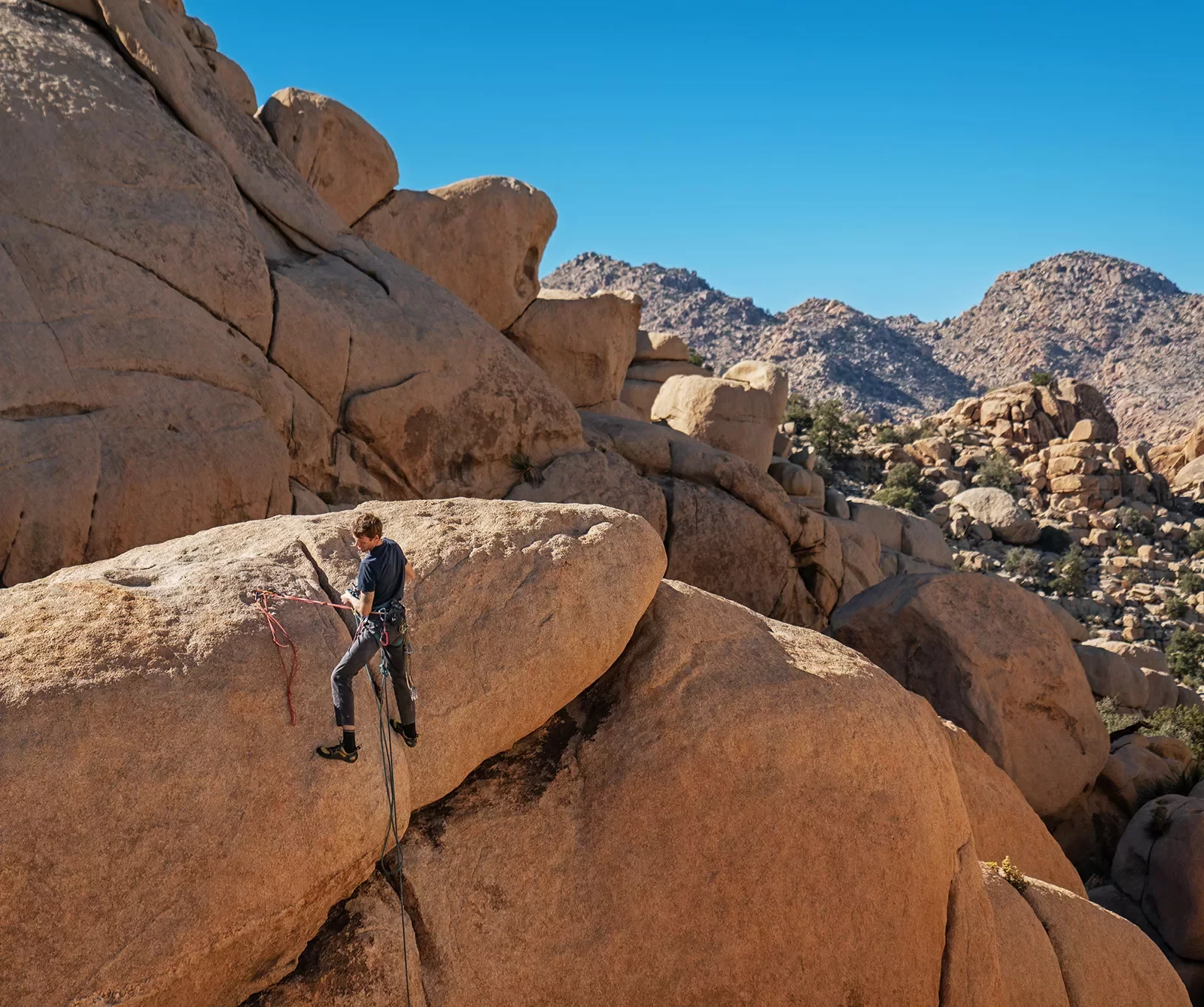 Guest rock climbing with desert vista behind them.