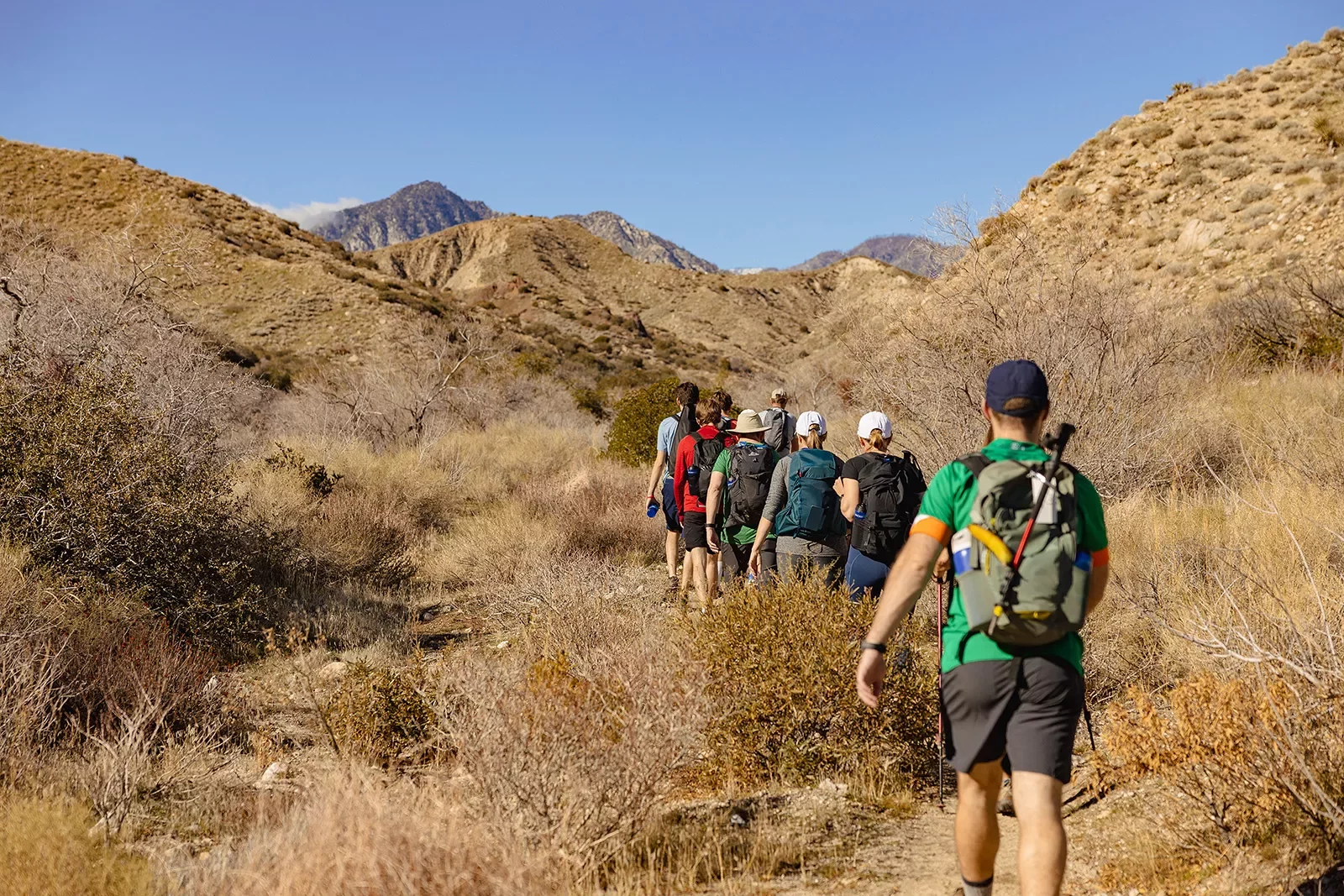 Group of guests hiking is desert, surrounded by bushes and hills.