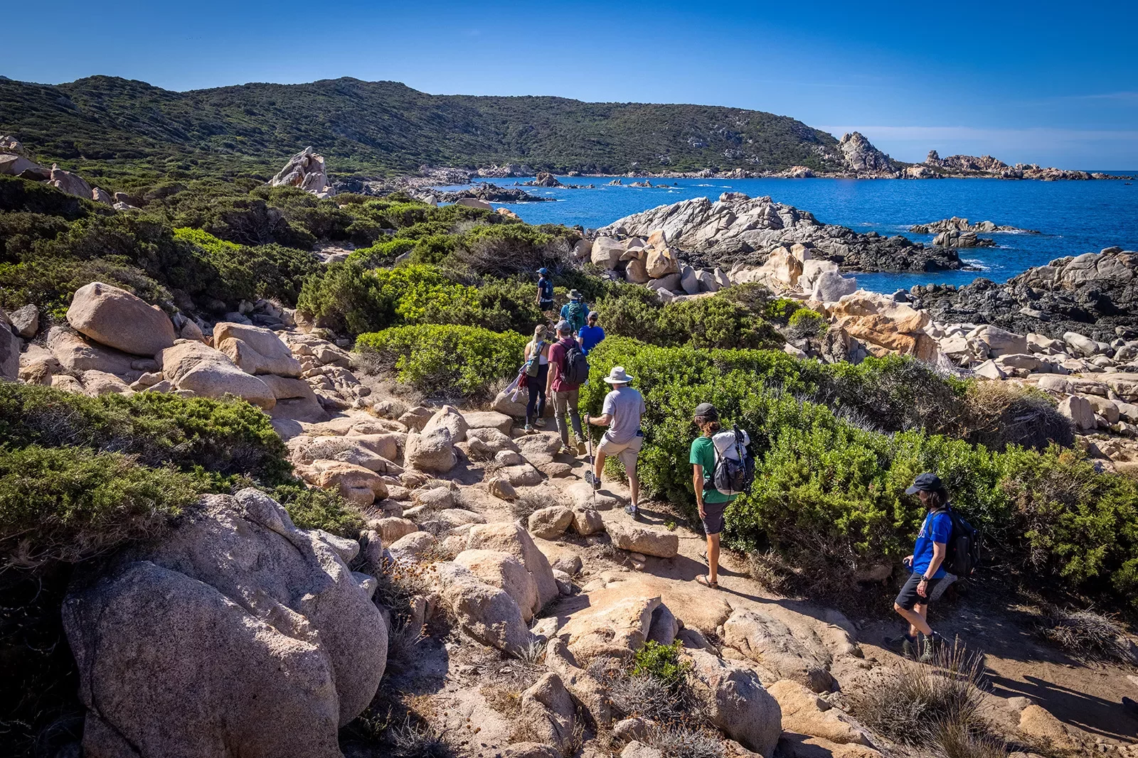 Eight guests hiking on rocky shore, ocean to their right, hills in distance.