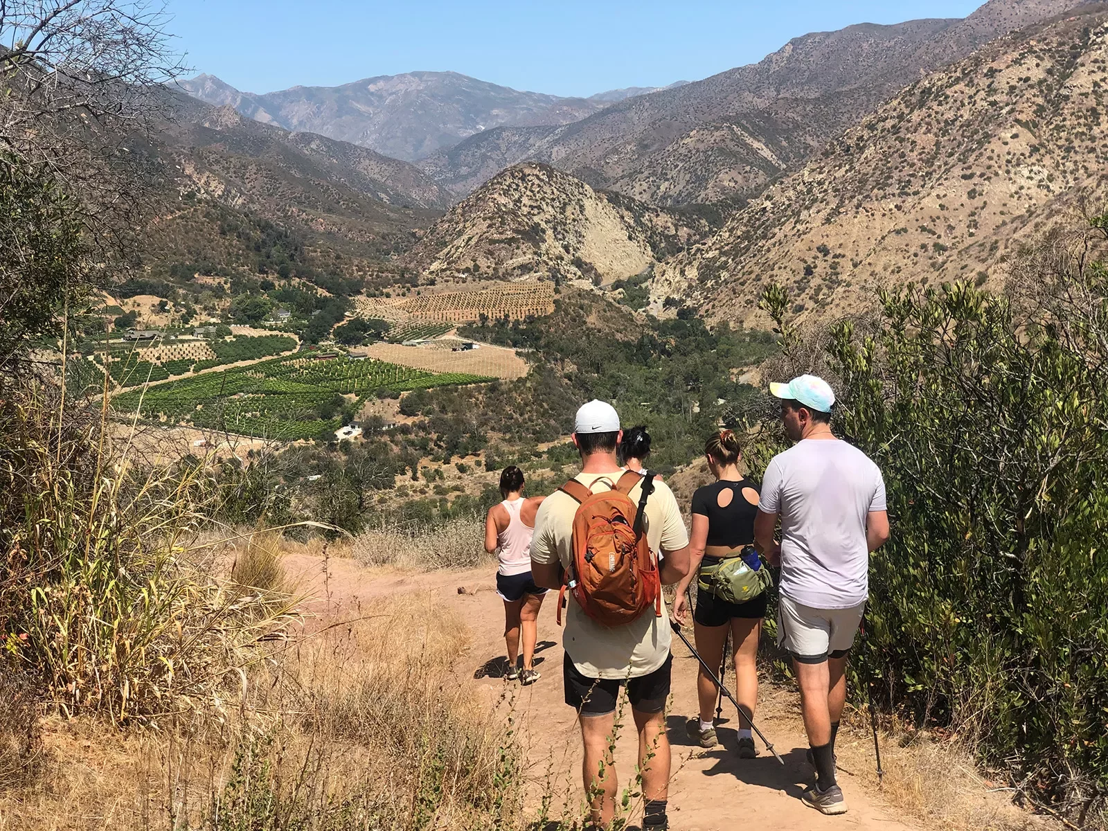 Five guests hiking down hilly trail, vineyard in distant valley.
