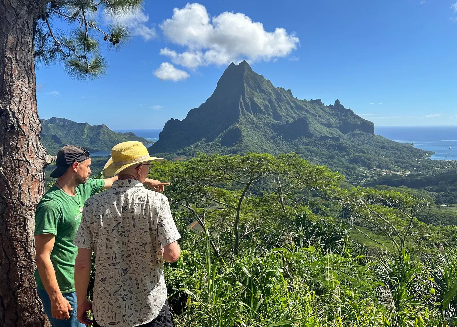 Looking out over mountains and jungles in Tahiti