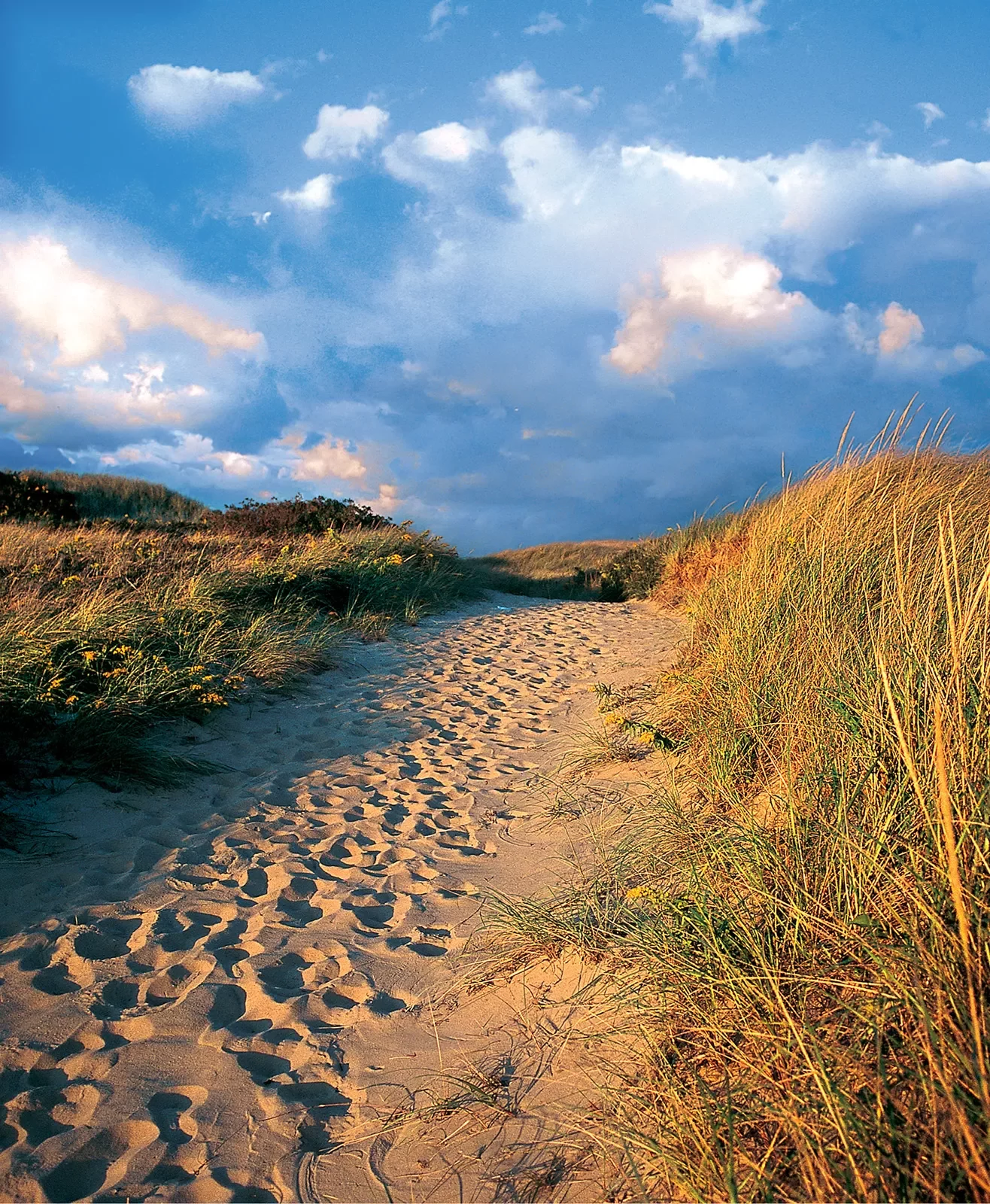 A sandy path between sand dunes with blue skies and clouds