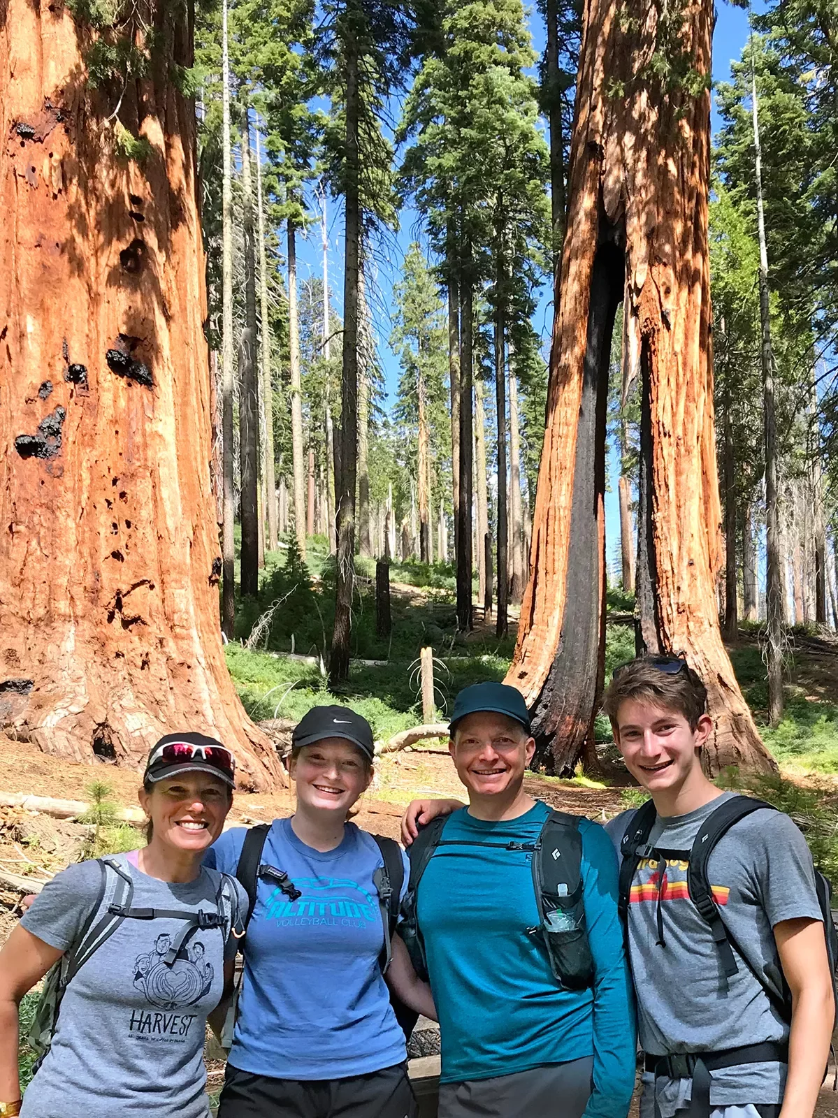 Four guests in redwood forest, smiling at camera.