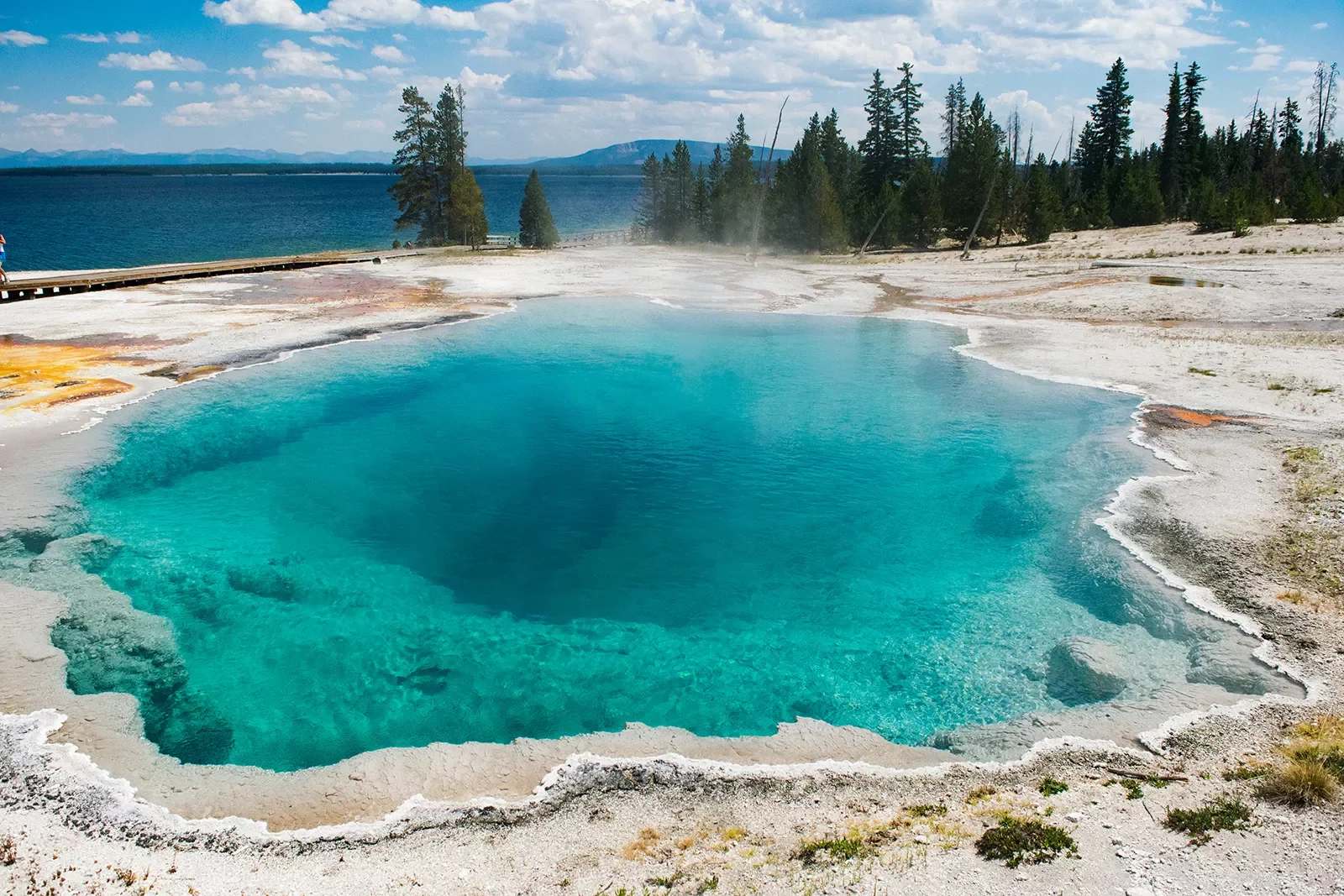 Turquoise hot spring and surrounding pine trees