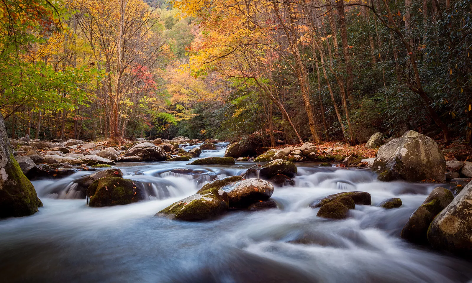 Smoky mountain hiking tours cheap