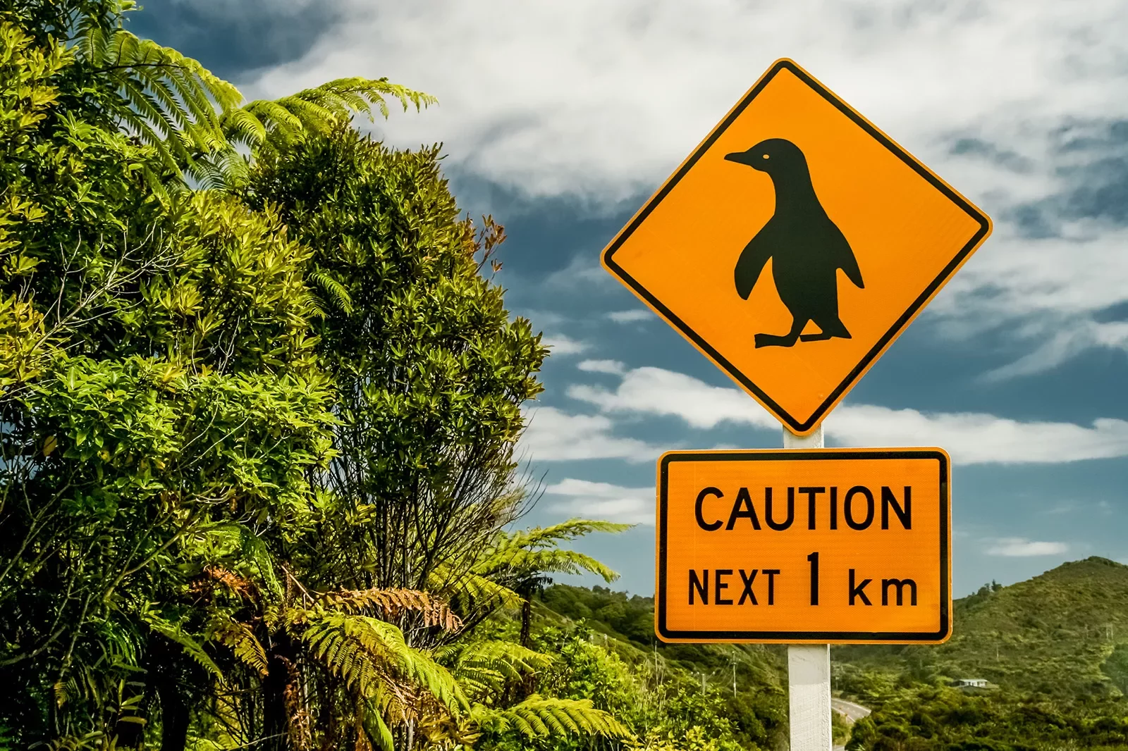 Penguin crossing sign in New Zealand