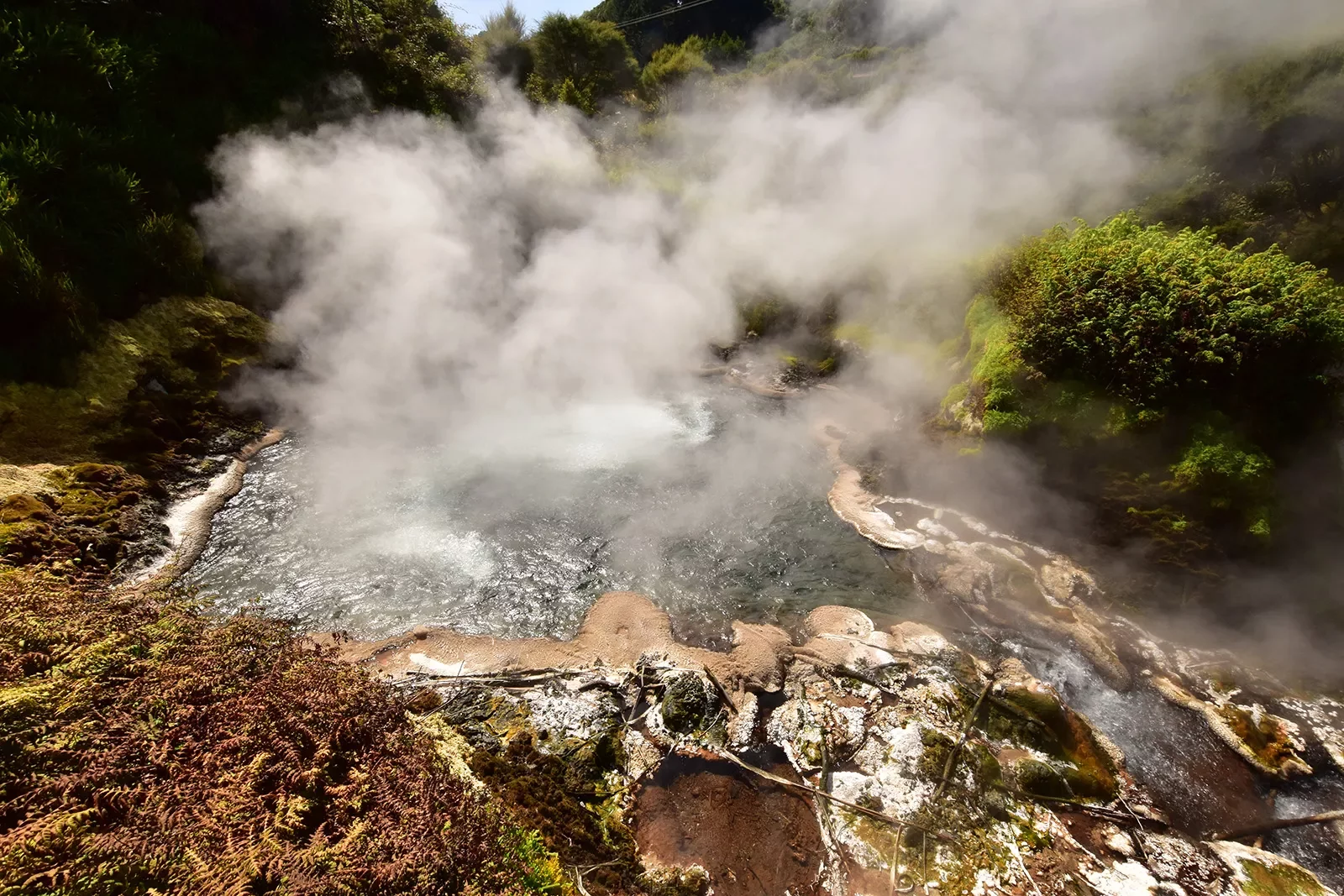 Steaming geothermal activity in Te Manaroa, New Zealand