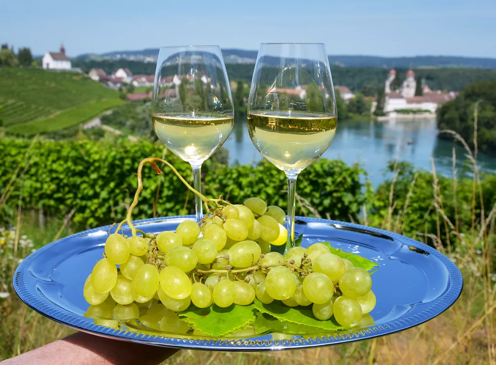 Grapes White Wine Platter River Bend
