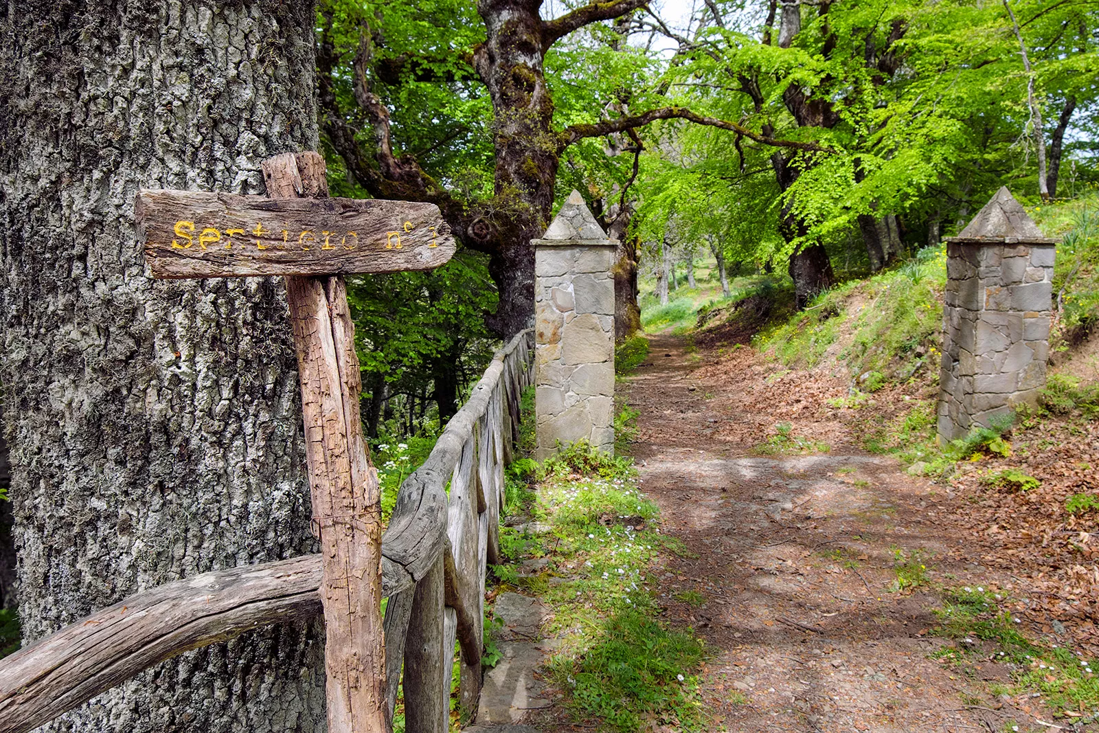 Shot of forest trail, fence, signage, two stone pylons.