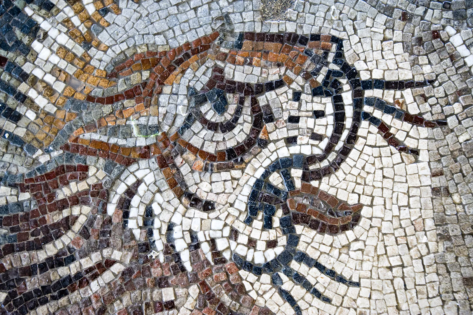 Shot of mountain cat art, made from tile.