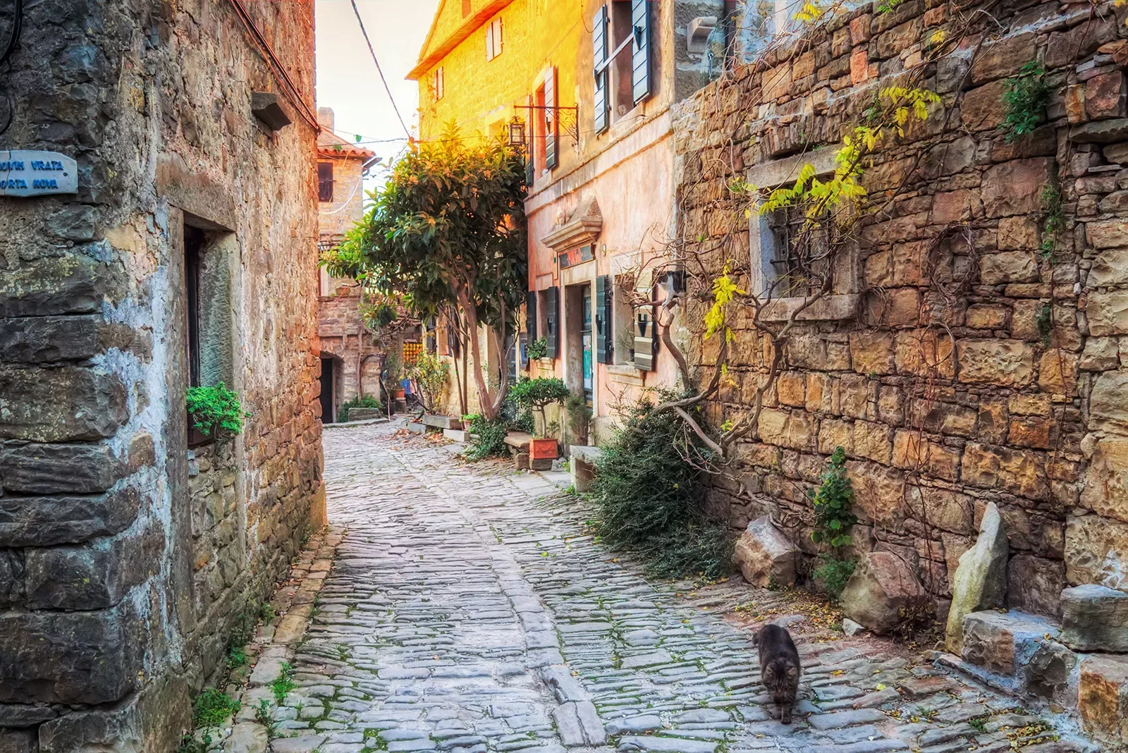 Cat running down European cobblestone alleyway.