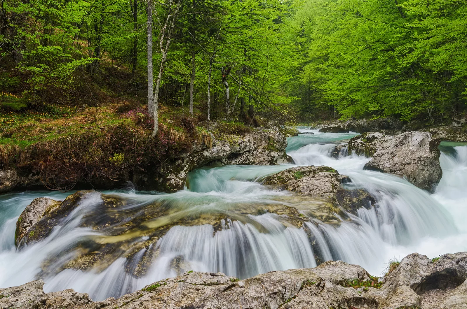 Rushing waterfalls in forest.