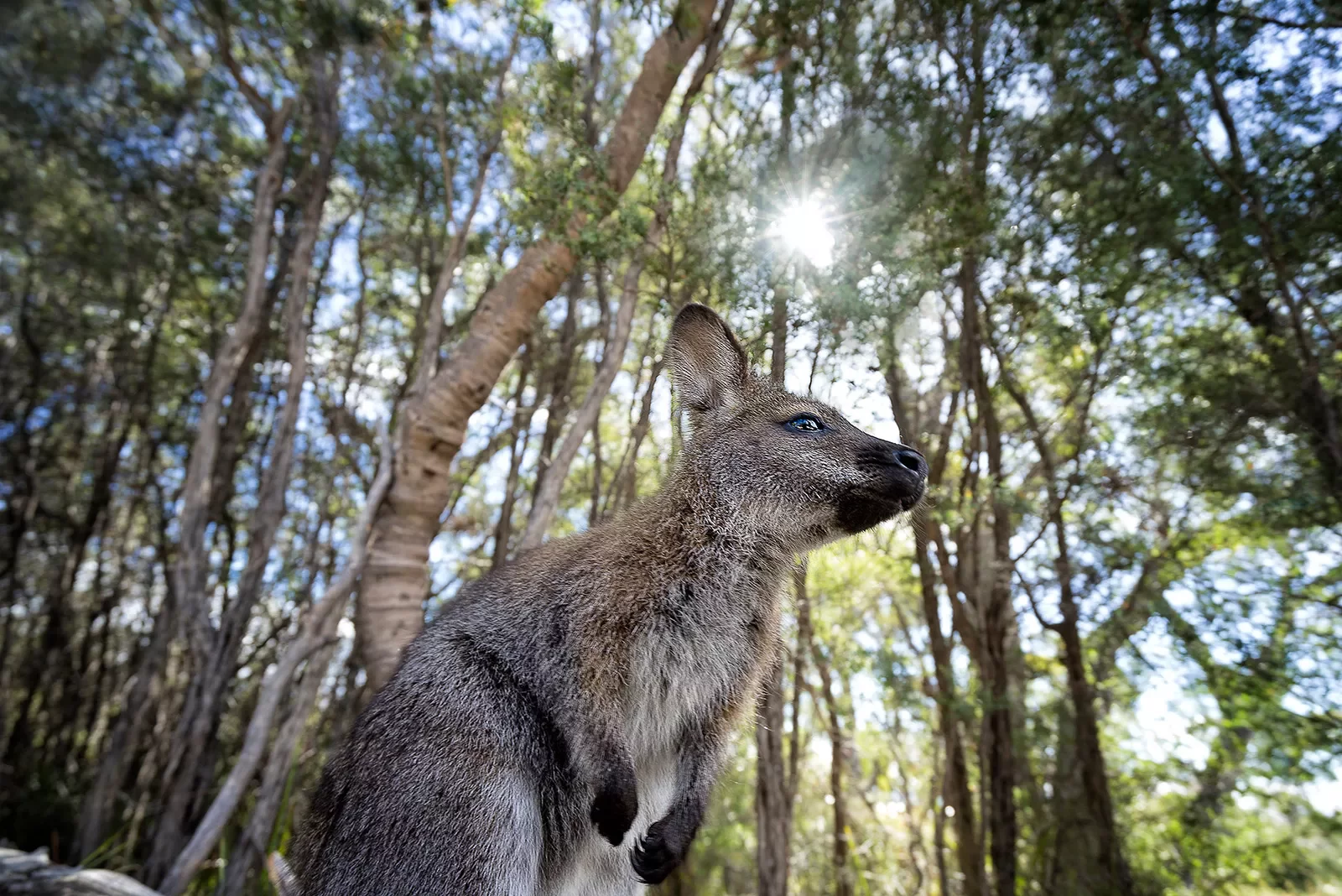 Freycinet National Park, Coles Bay, Tasmania.
