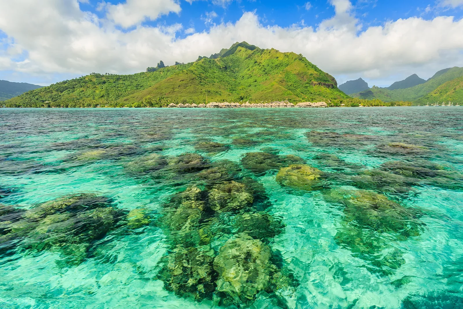 Crystal clear waters in Tahiti