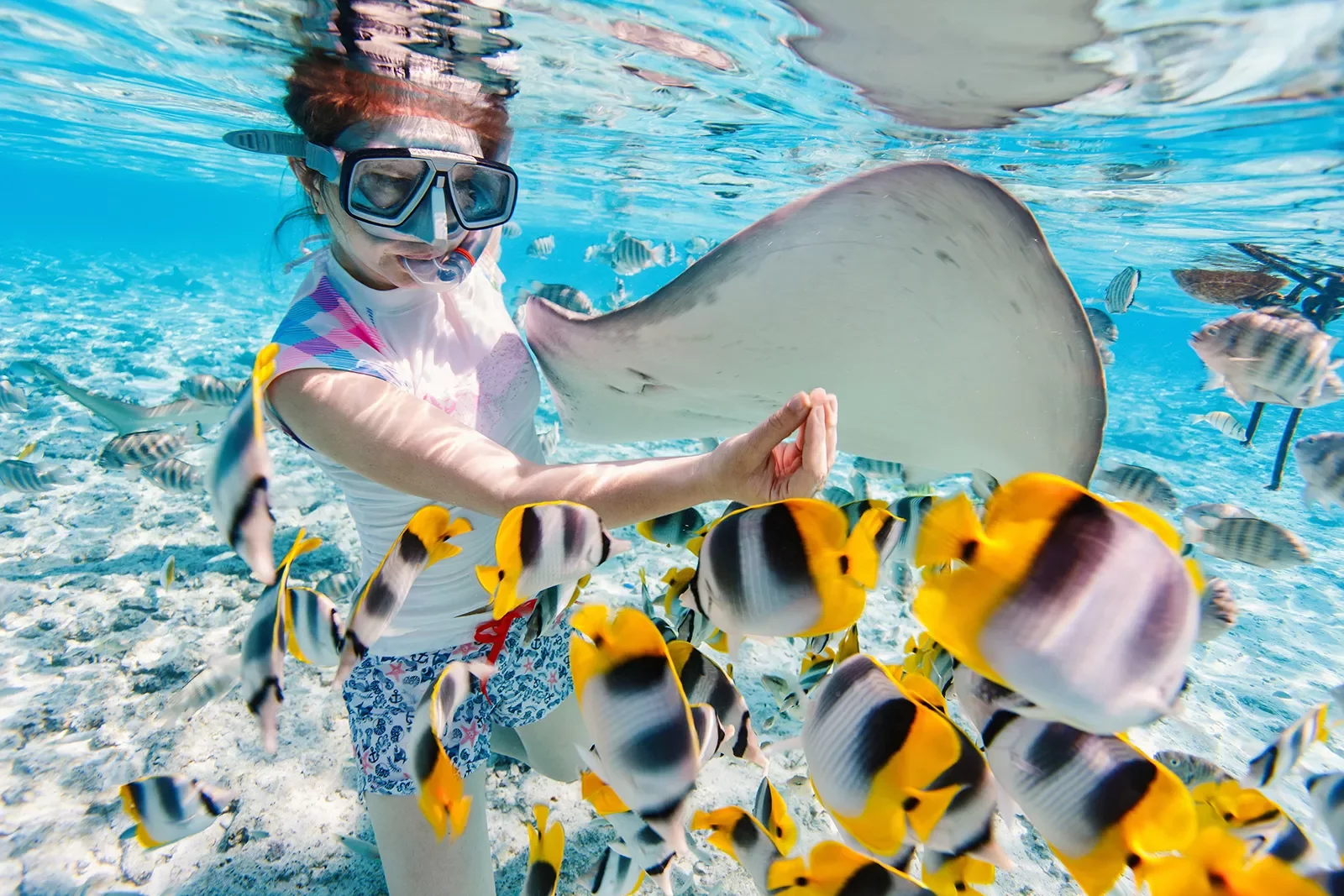Snorkeler among rays and yellow fish in Tahiti