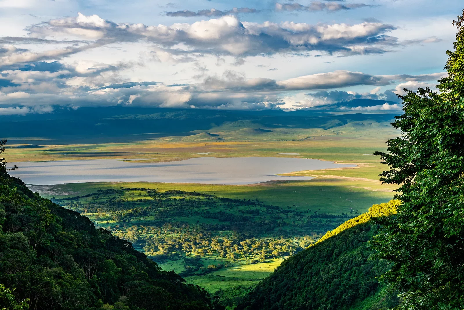 Landscape in Tanzania