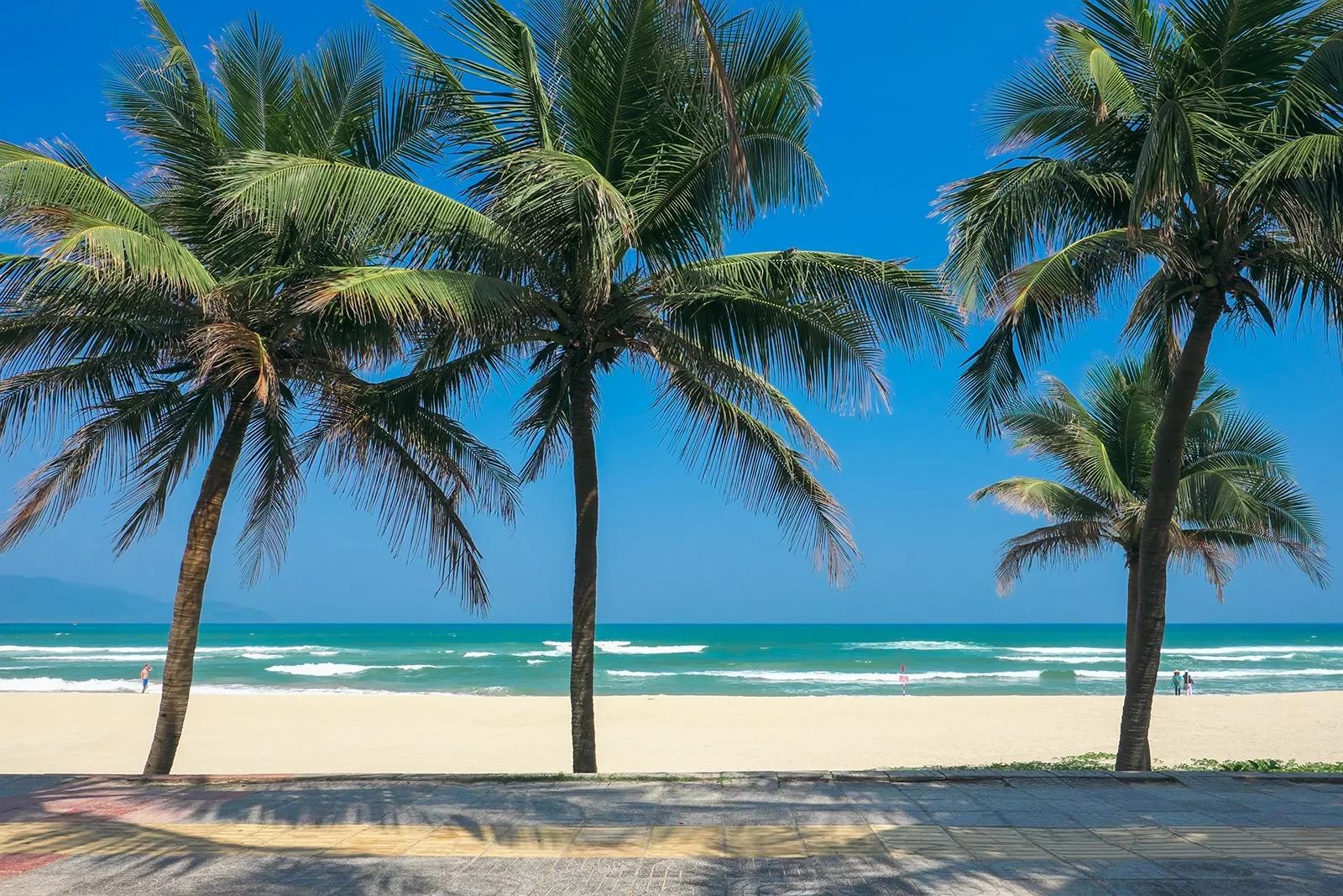 White sand beach, palm trees, blue skies and ocean.