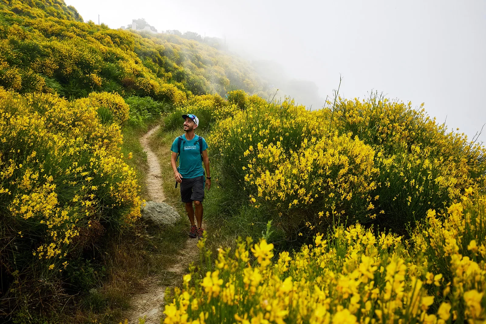 Guest hiking down coastal trail, yellow flower bushes all around.