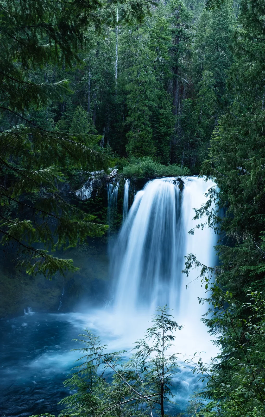 Shot of flowing waterfall surrounded by dark green forest.