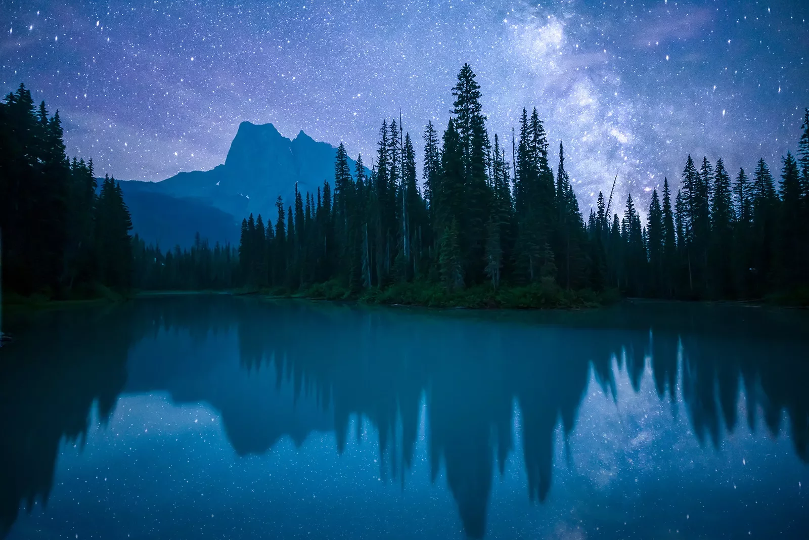 Lake, mountain, forest, vibrant nighttime vista.
