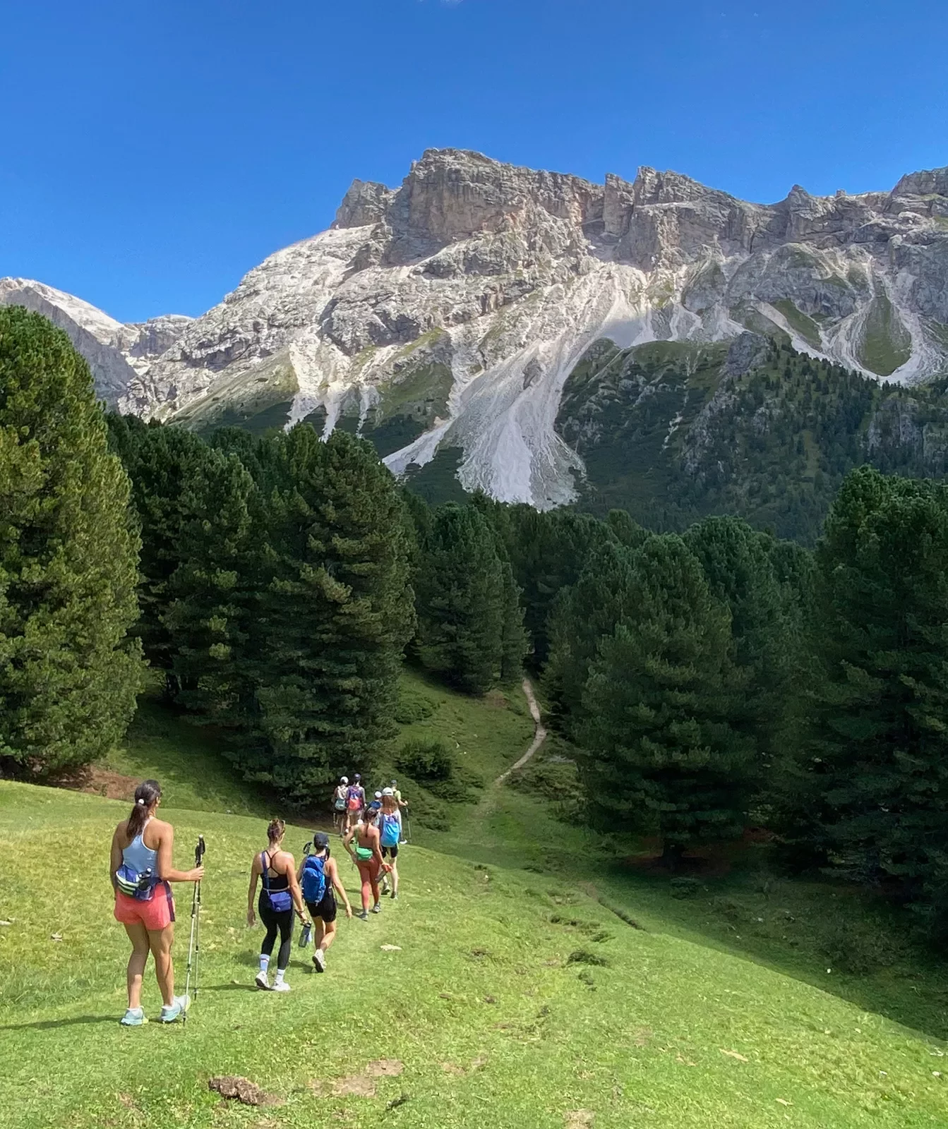 Guests on mountain trail, walking towards large range.