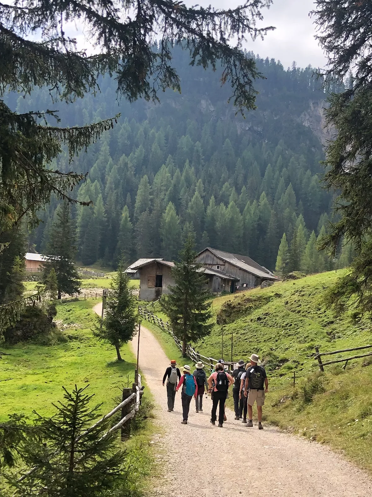Group of guests walking towards mountain village. Forest behind them.