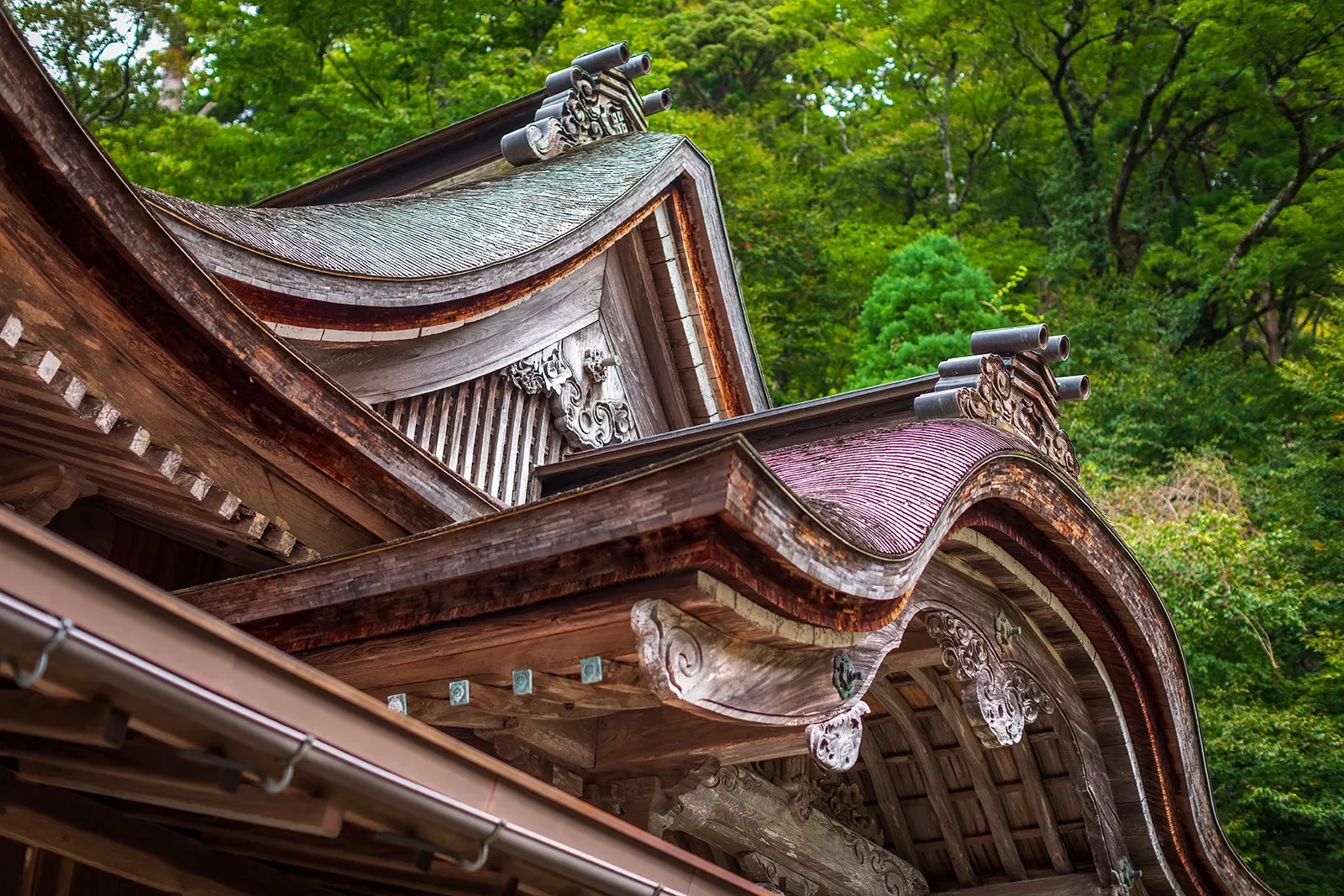 Traditional Japanese temple roof
