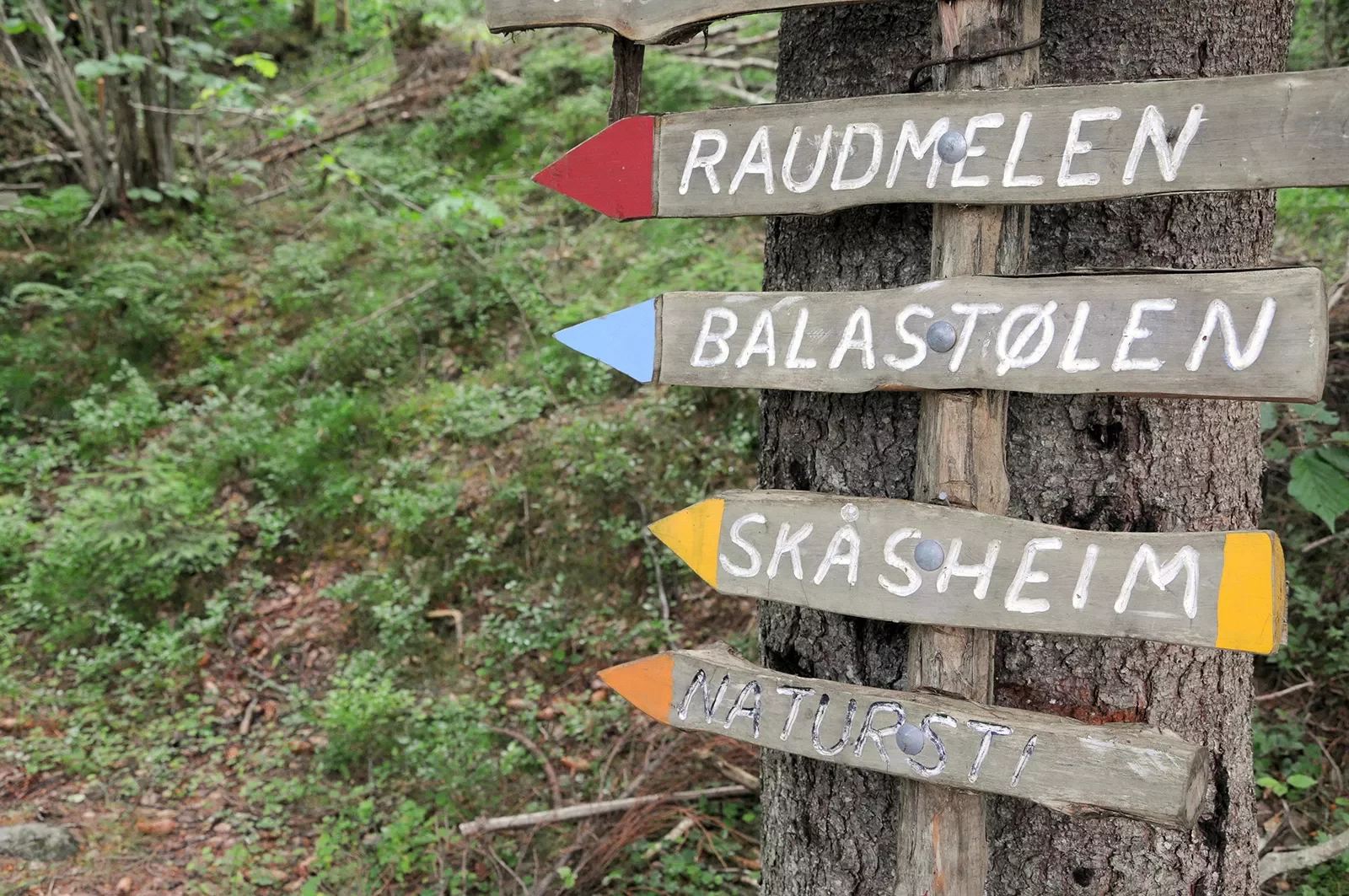 Trail signs with Norwegian writing on them