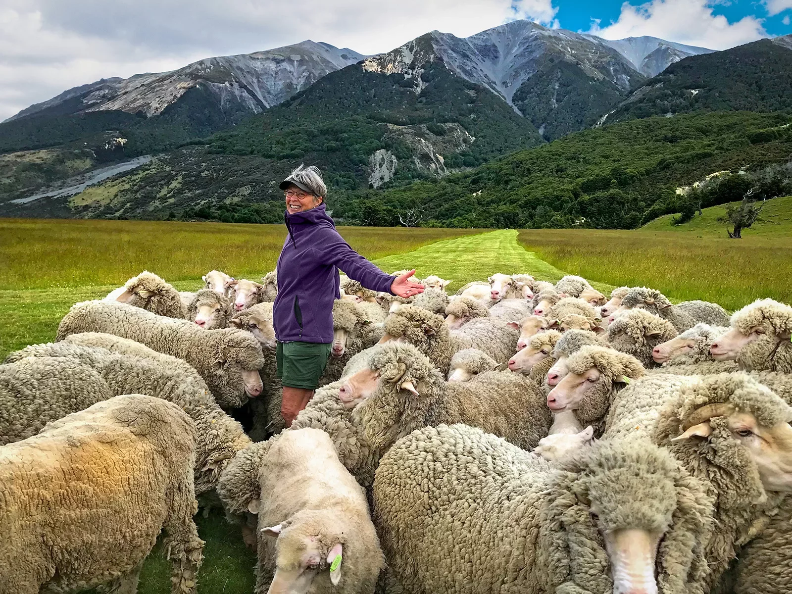 Woman surrounded by sheep in New Zealand
