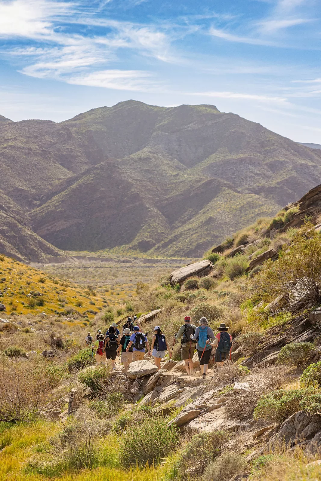 Guests hiking in desert valley, blue sky and mountain in background.