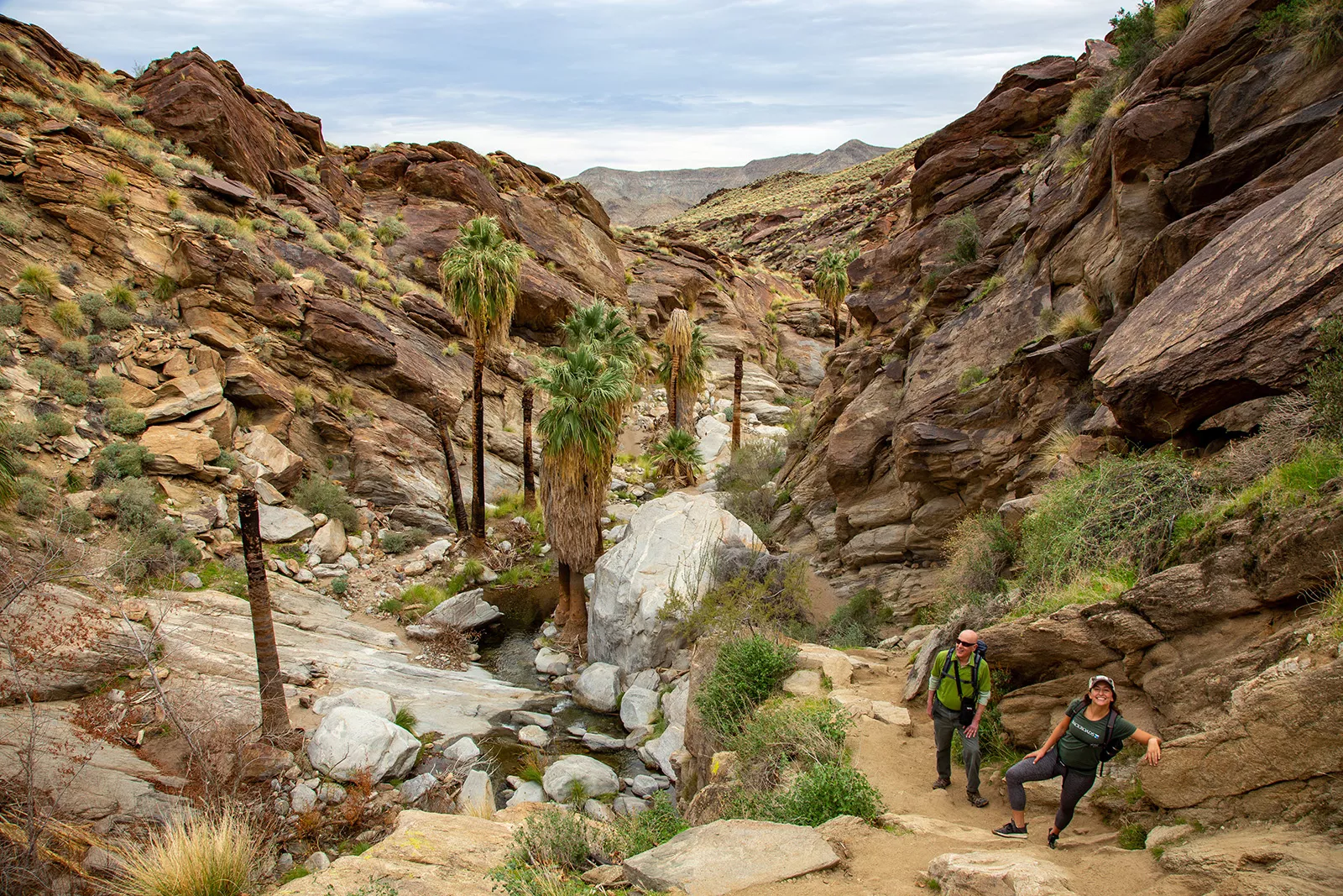 Joshua Tree Palm Springs Walking Hiking Tour Backroads