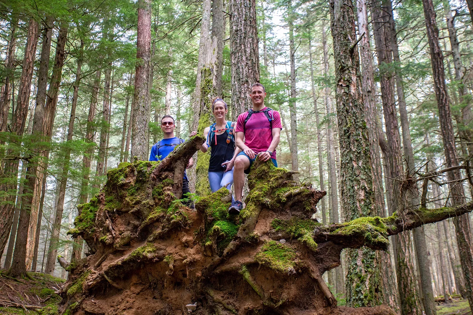 Three guests standing on downed tree.