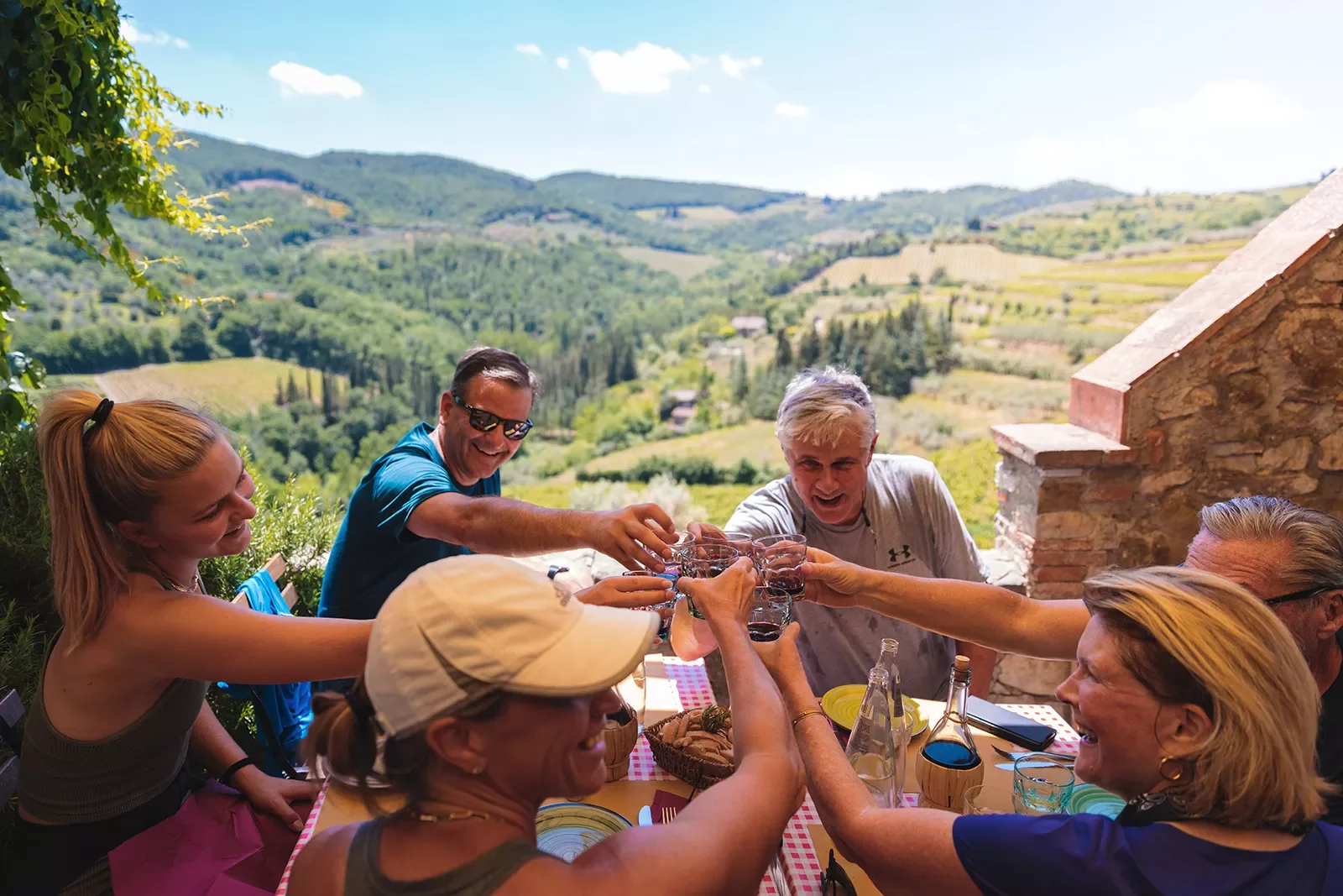 Six guests cheersing wine glasses, vast hilly vineyards in distance.
