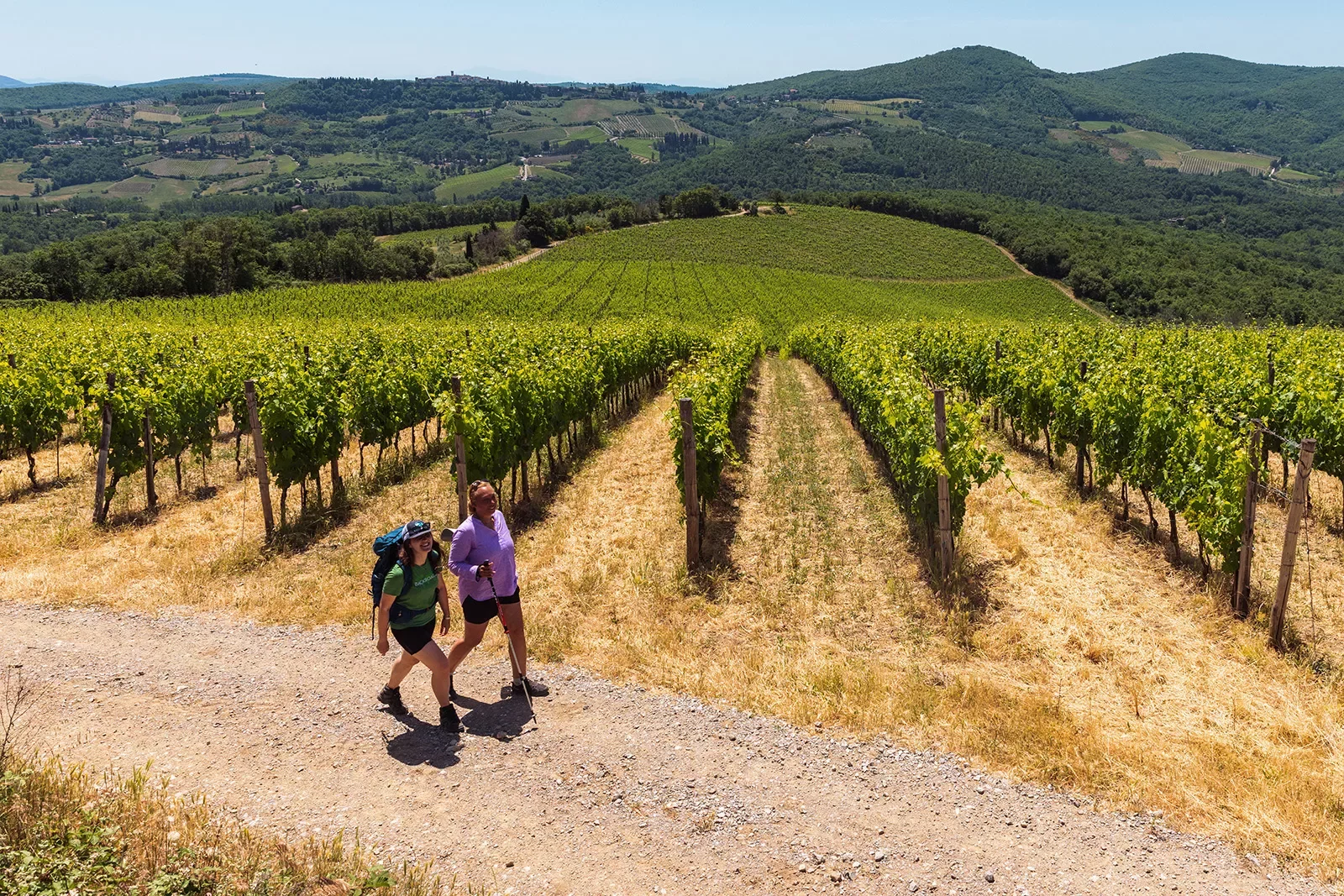 Two guests walking past vineyard, Italian hillside in background.