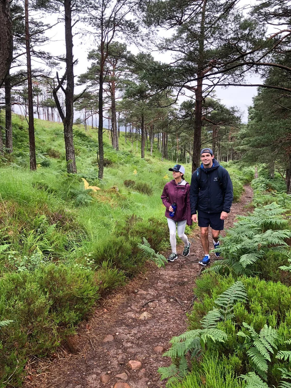 Hiking Forest Scotland