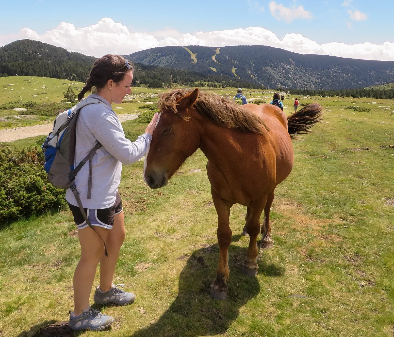 Guest in meadow petting brown horse.