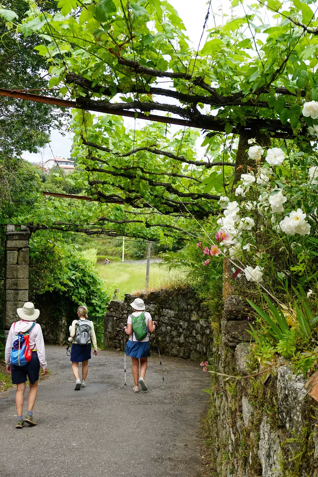 Hikers walking along a tree and flower shaded path