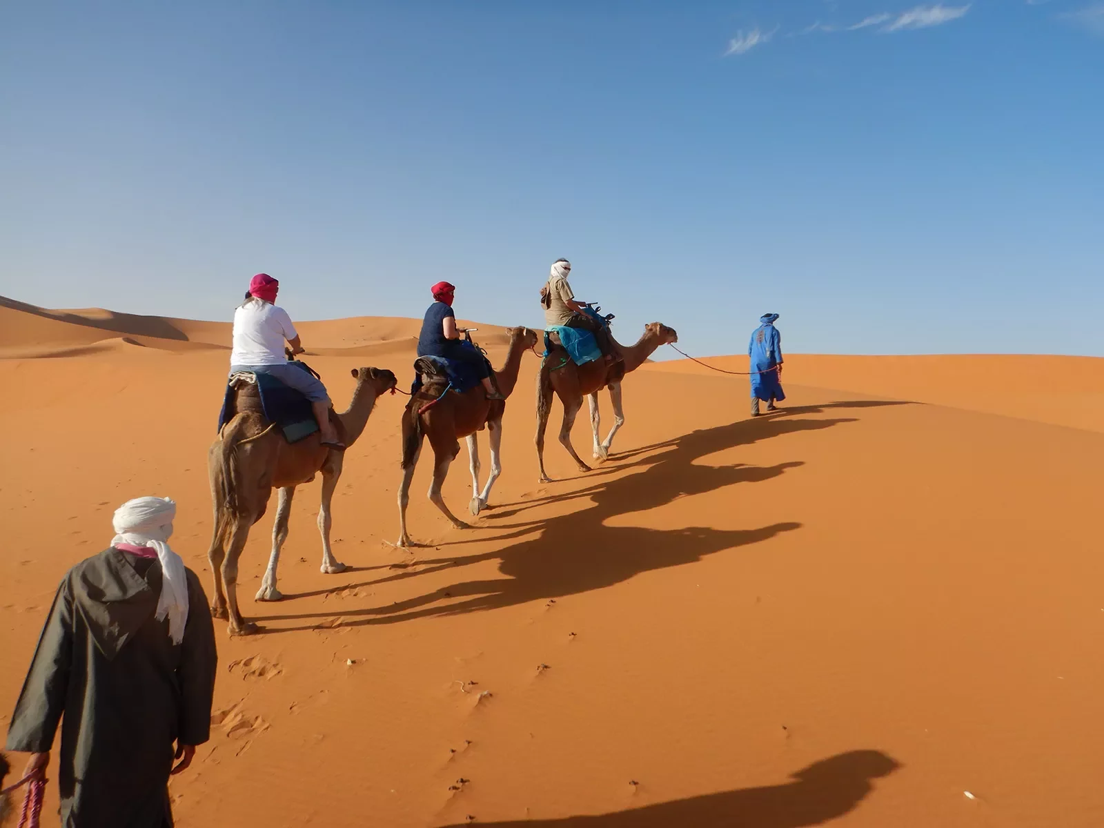 A line of travelers on camels in dunes