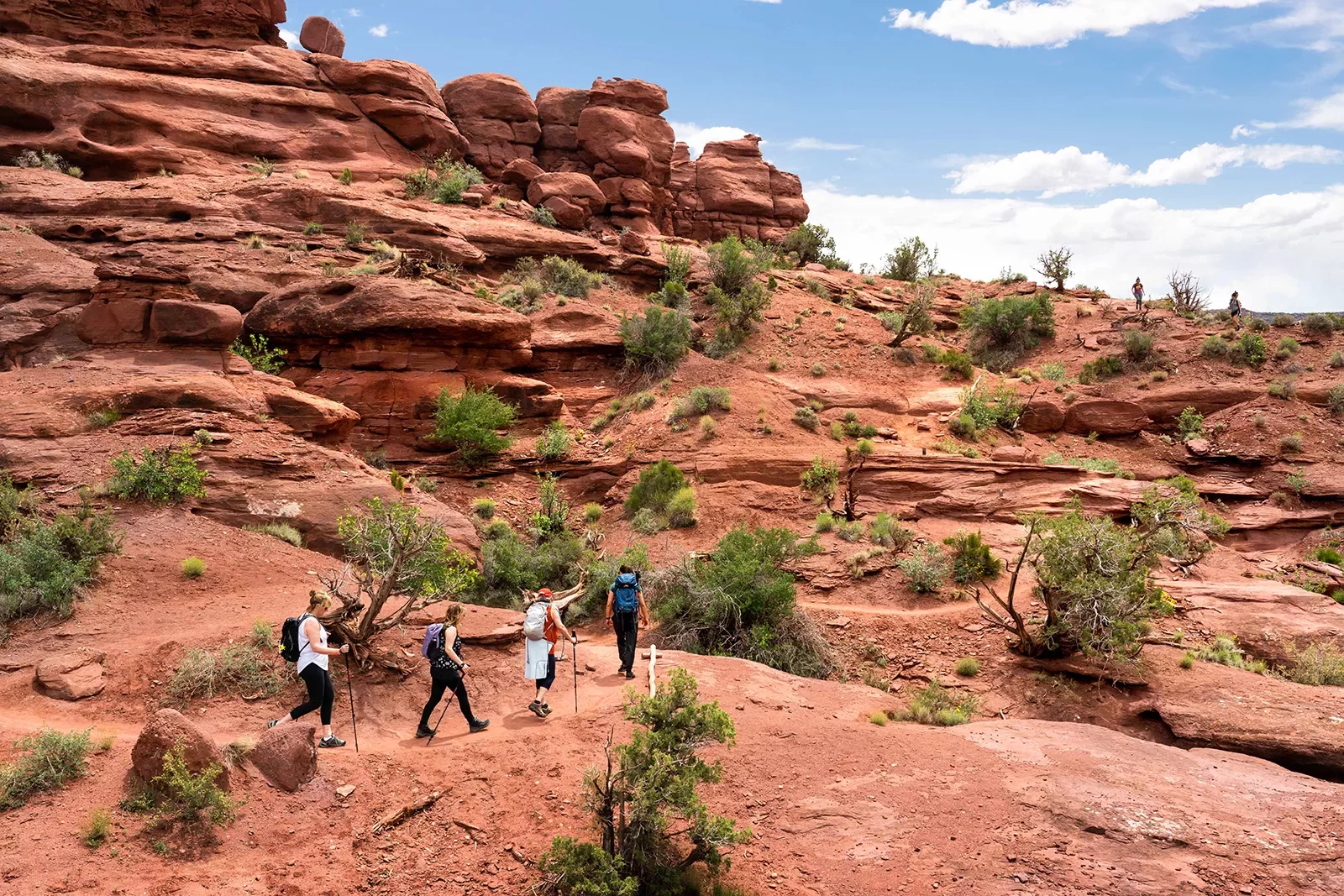 Four guests hiking on desert trail