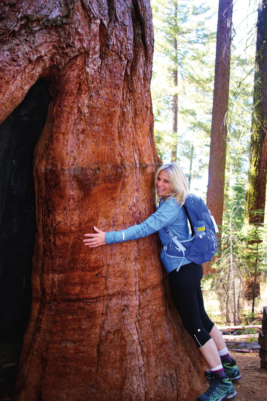 Guest hugging a large redwood tree.