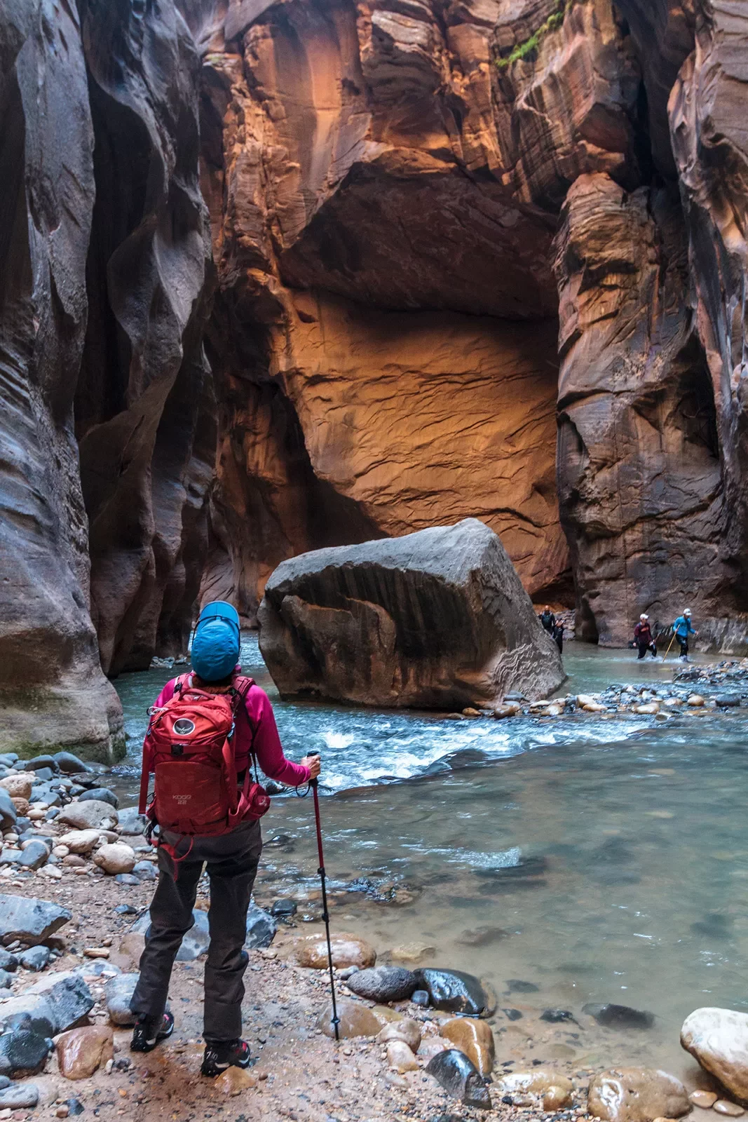 Guest in stream of canyon in Zion + Bryce