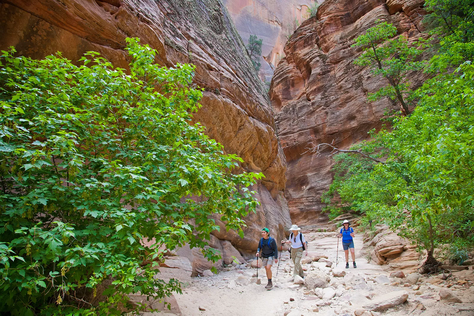 Zion Bryce Canyon Guided Hiking Tours Backroads Active Travel