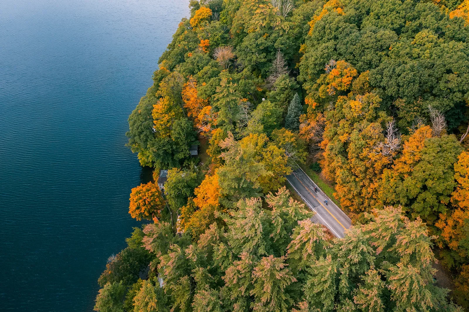 Aerial shot of leaves changing on trees