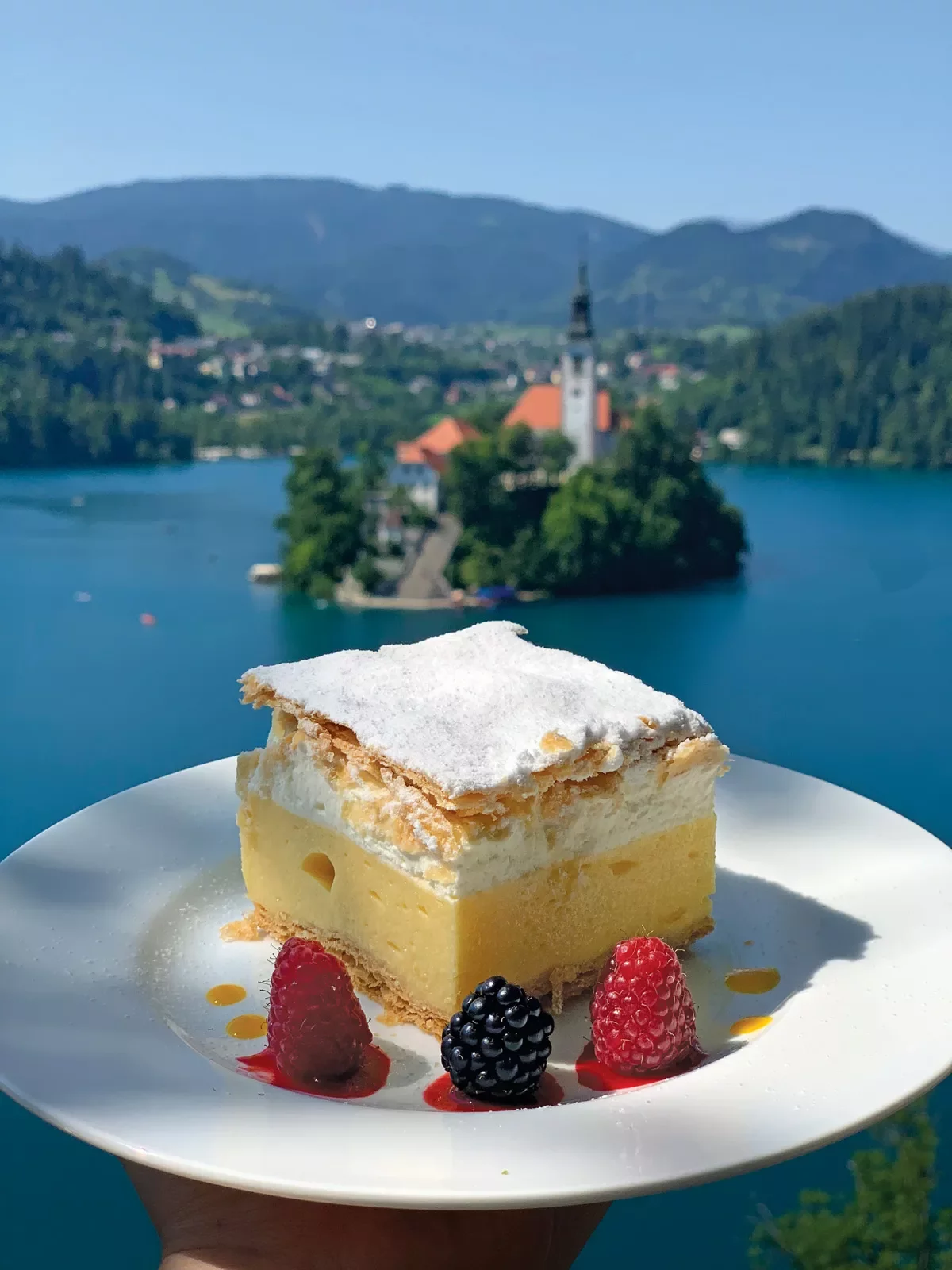 Cake and berries on a plate with a view
