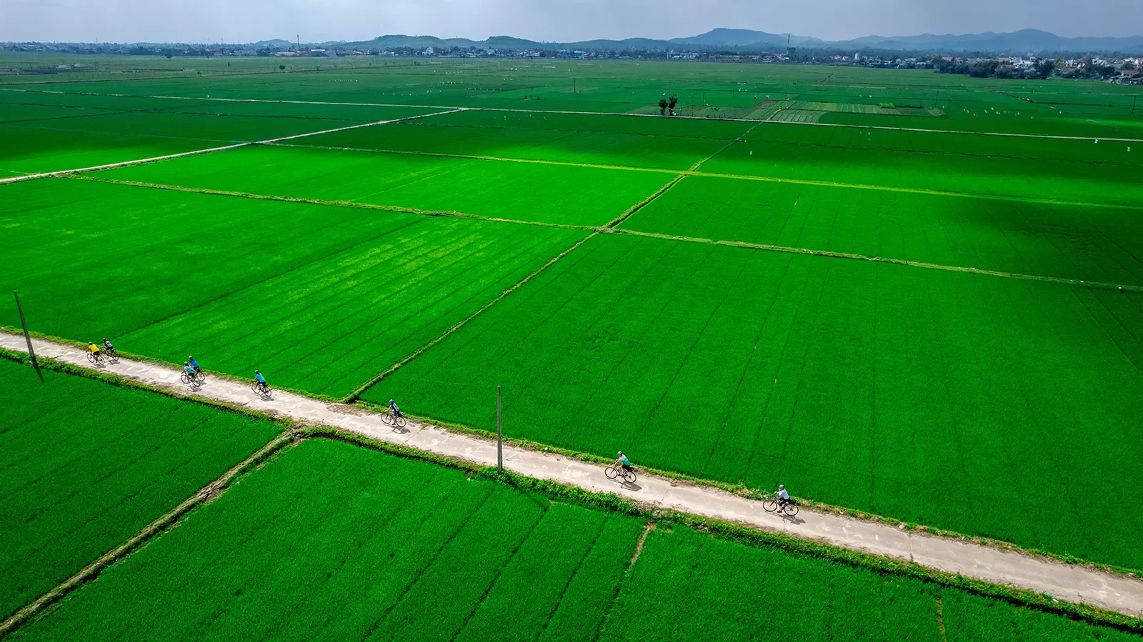 green farm fields