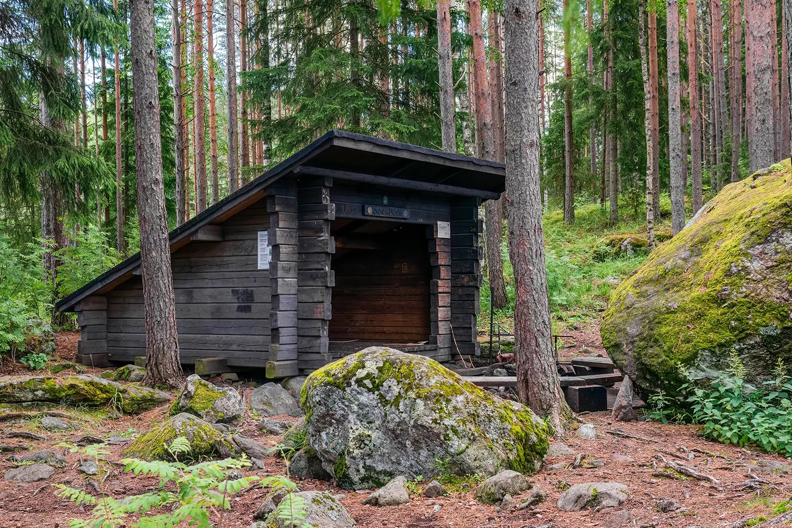 Wooden shelter in the middle of a forest