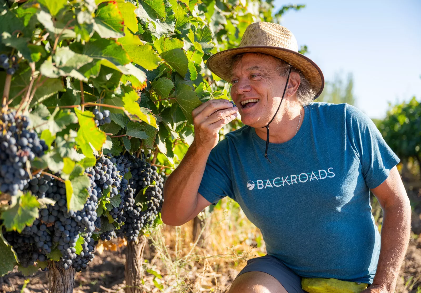 backroads guest tasting grapes from the vine